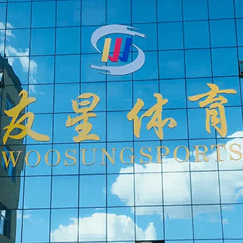 История развития Woosung и будущие перспективы
